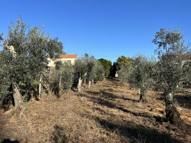 Image No.19-5 Bed Cottage for sale