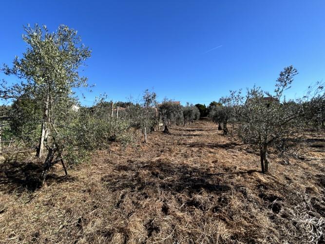 Image No.27-5 Bed Cottage for sale