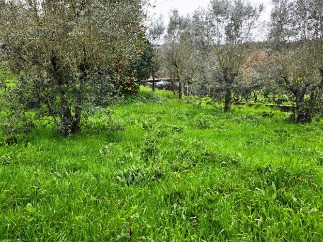 Image No.21-Country House for sale