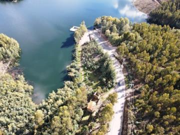 2---1293--DEF---Custom-