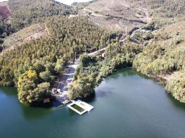 4---1293--DEF---Custom-