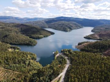 5---1293--DEF---Custom-