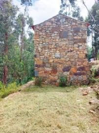 10---1293--DEF---Custom-