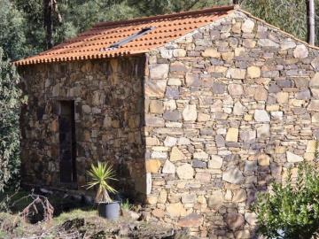 11---1293--DEF---Custom-