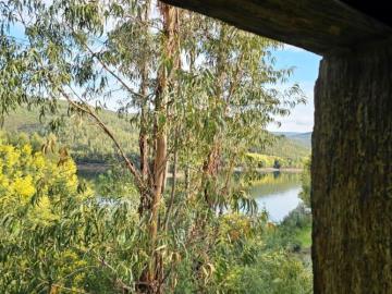 14---1293--DEF---Custom-