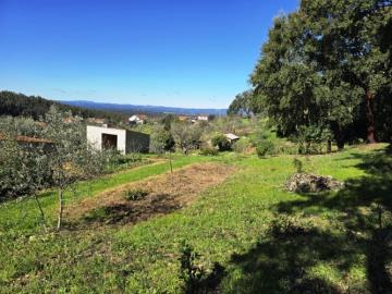 1---1296--NEW---Custom-