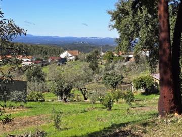 2---1296--NEW---Custom-