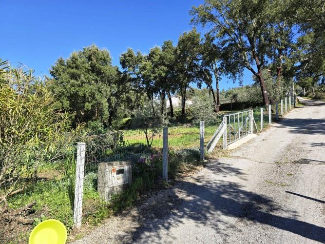 Image No.3-Plot for sale