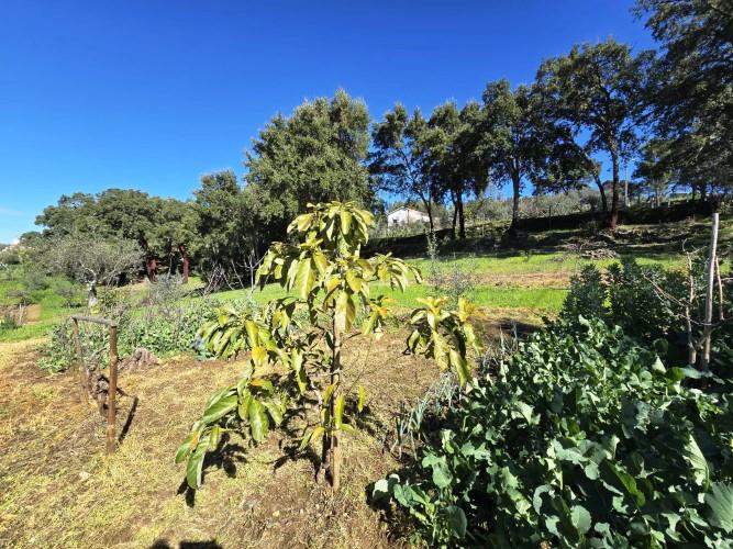 Image No.7-Plot for sale