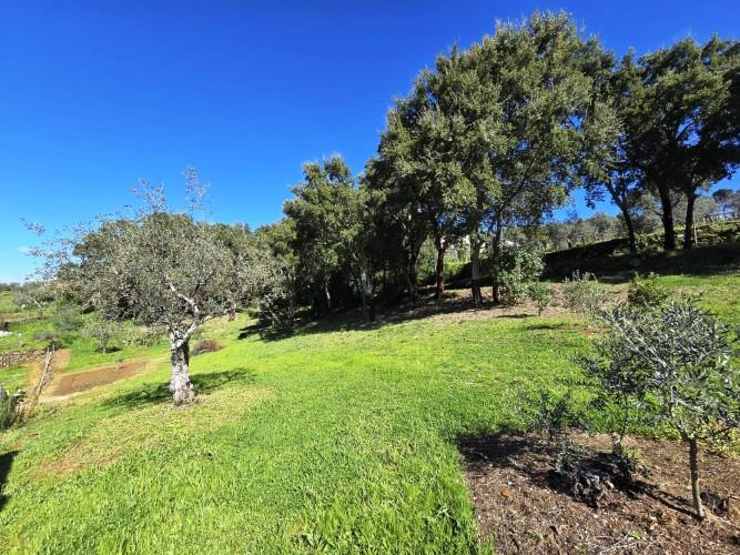 Image No.9-Plot for sale