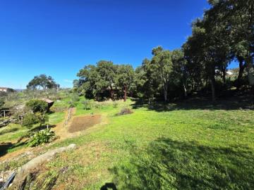 10---1296--NEW---Custom-