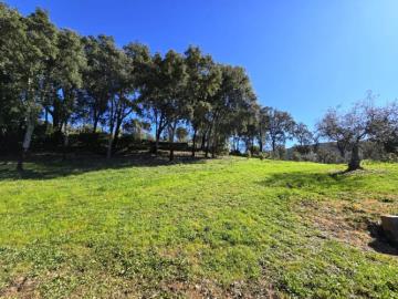 12---1296--NEW---Custom-