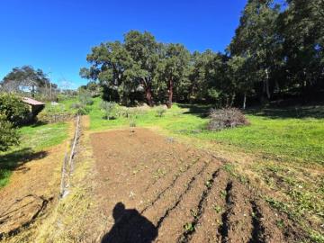 11---1296--NEW---Custom-