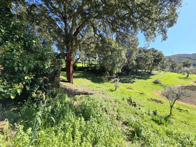 Image No.13-Plot for sale