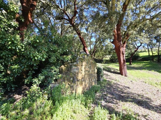 Image No.14-Plot for sale