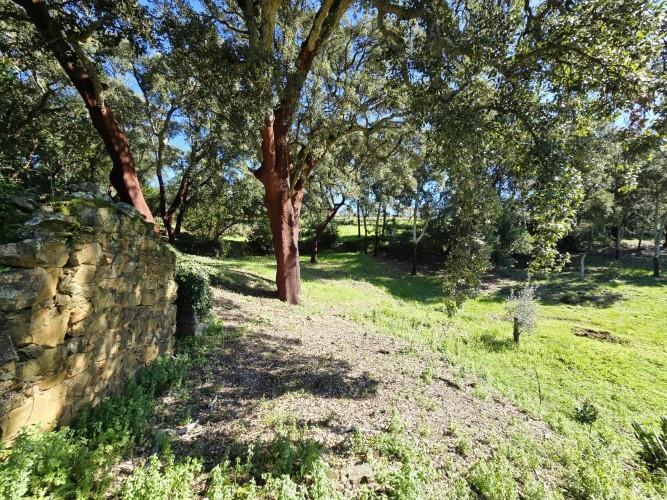 Image No.15-Plot for sale