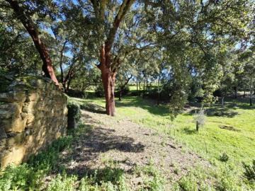 15---1296--NEW---Custom-