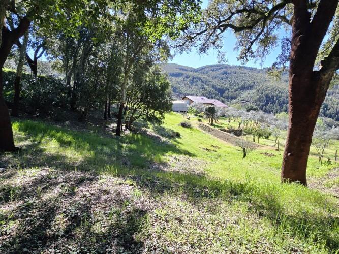 Image No.17-Plot for sale