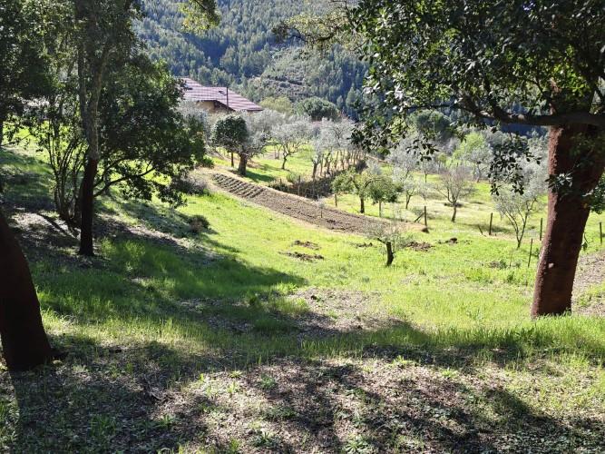 Image No.18-Plot for sale