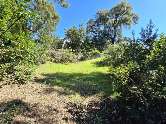 Image No.19-Plot for sale