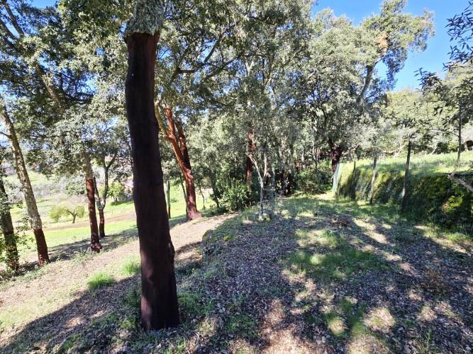 Image No.21-Plot for sale