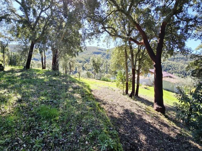 Image No.23-Plot for sale