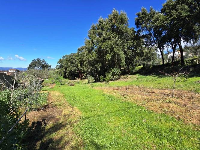 Image No.31-Plot for sale