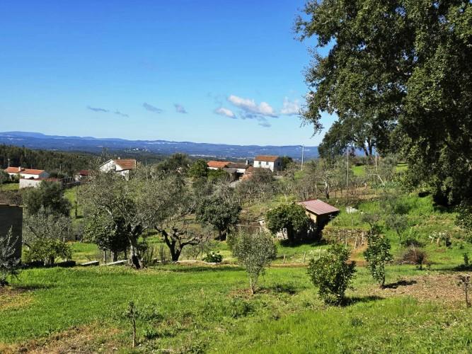 Image No.32-Plot for sale