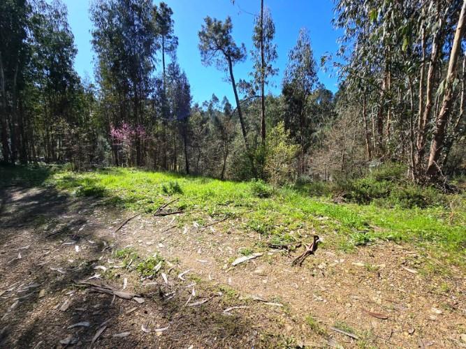 Image No.19-Plot for sale