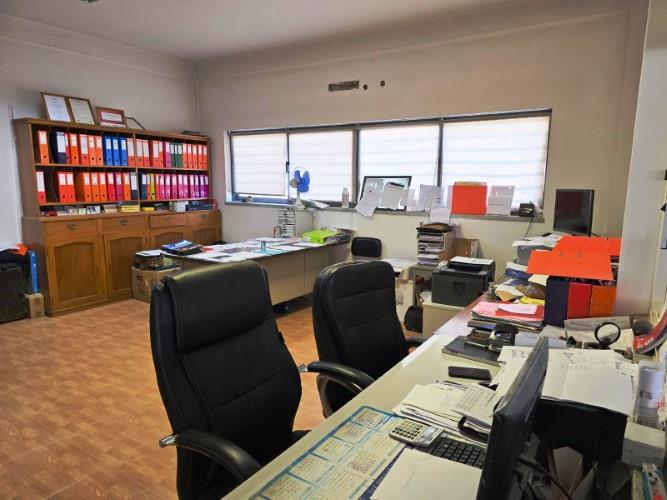 Image No.17-Commercial à vendre à Góis