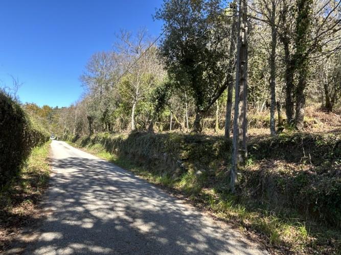 Image No.4-Plot for sale