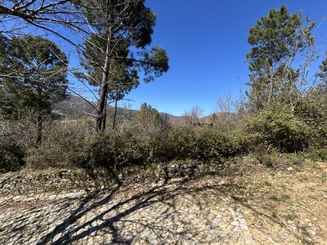 Image No.5-Plot for sale