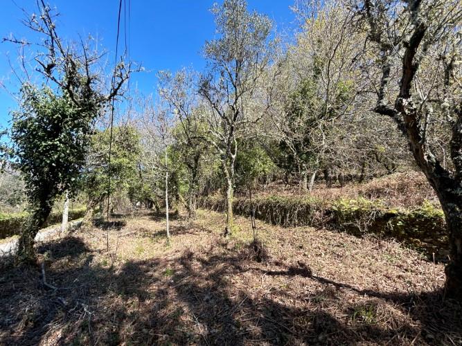 Image No.3-Plot for sale