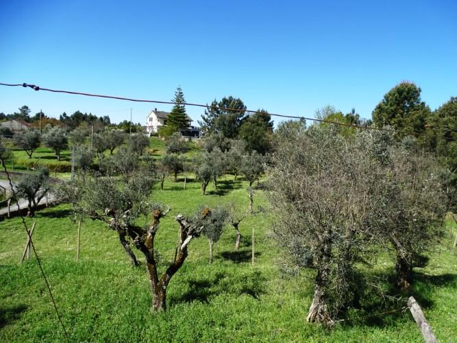 Image No.27-Maison de village de 3 chambres à vendre à Pedrógão Grande