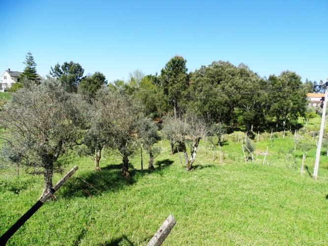 Image No.29-Maison de village de 3 chambres à vendre à Pedrógão Grande