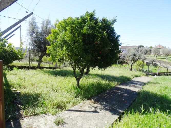Image No.45-Maison de village de 3 chambres à vendre à Pedrógão Grande
