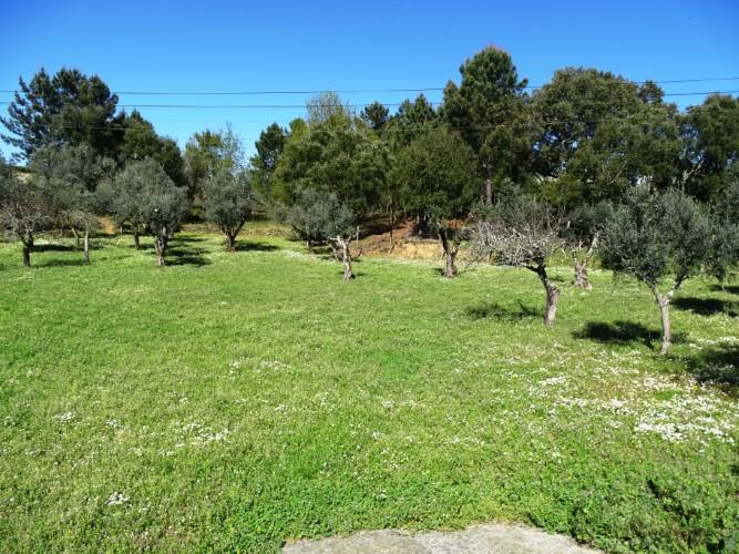 Image No.51-Maison de village de 3 chambres à vendre à Pedrógão Grande