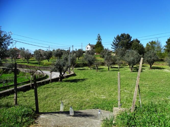 Image No.52-Maison de village de 3 chambres à vendre à Pedrógão Grande