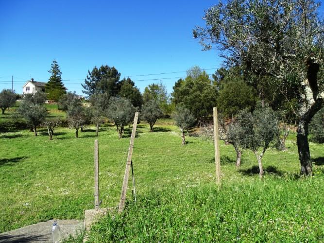 Image No.53-Maison de village de 3 chambres à vendre à Pedrógão Grande