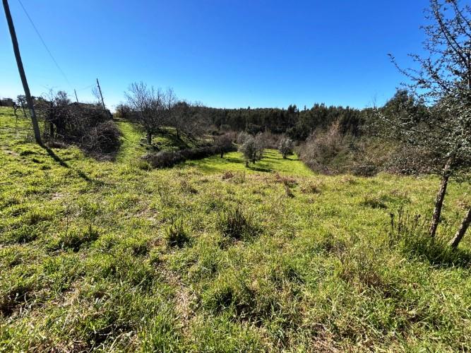 Image No.33-Ferme de 4 chambres à vendre à Pedrógão Grande