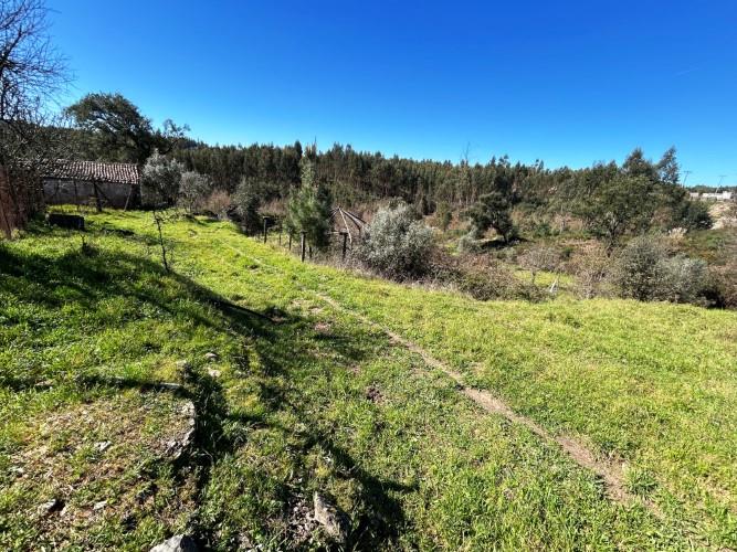 Image No.35-Ferme de 4 chambres à vendre à Pedrógão Grande