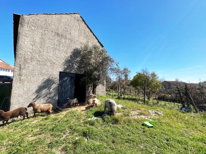 Image No.36-Ferme de 4 chambres à vendre à Pedrógão Grande