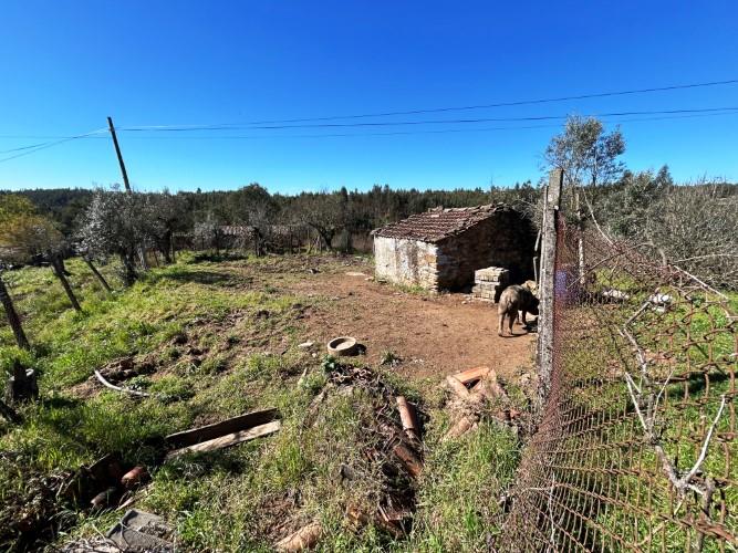 Image No.37-Ferme de 4 chambres à vendre à Pedrógão Grande