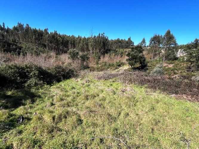 Image No.39-Ferme de 4 chambres à vendre à Pedrógão Grande