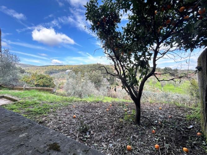 Image No.25-Maison de village de 3 chambres à vendre à Góis