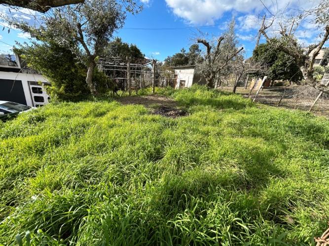 Image No.30-Maison de village de 2 chambres à vendre à Pampilhosa da Serra