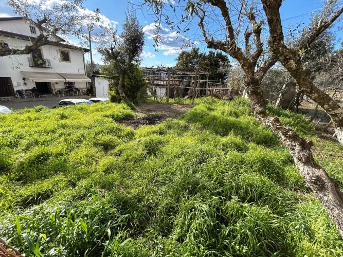 Image No.31-Maison de village de 2 chambres à vendre à Pampilhosa da Serra