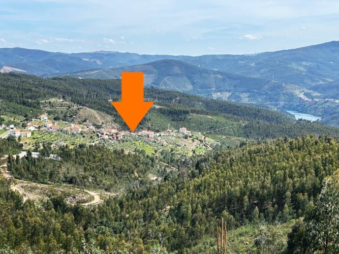 Image No.19-Maison de village de 2 chambres à vendre à Pampilhosa da Serra