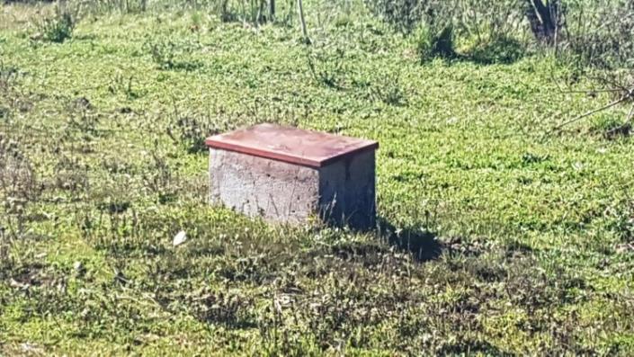 Image No.27-Ferme de 4 chambres à vendre à Pedrógão Grande