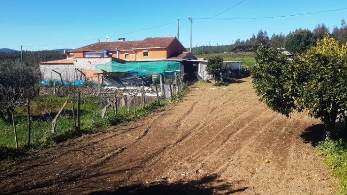 Image No.29-Ferme de 4 chambres à vendre à Pedrógão Grande
